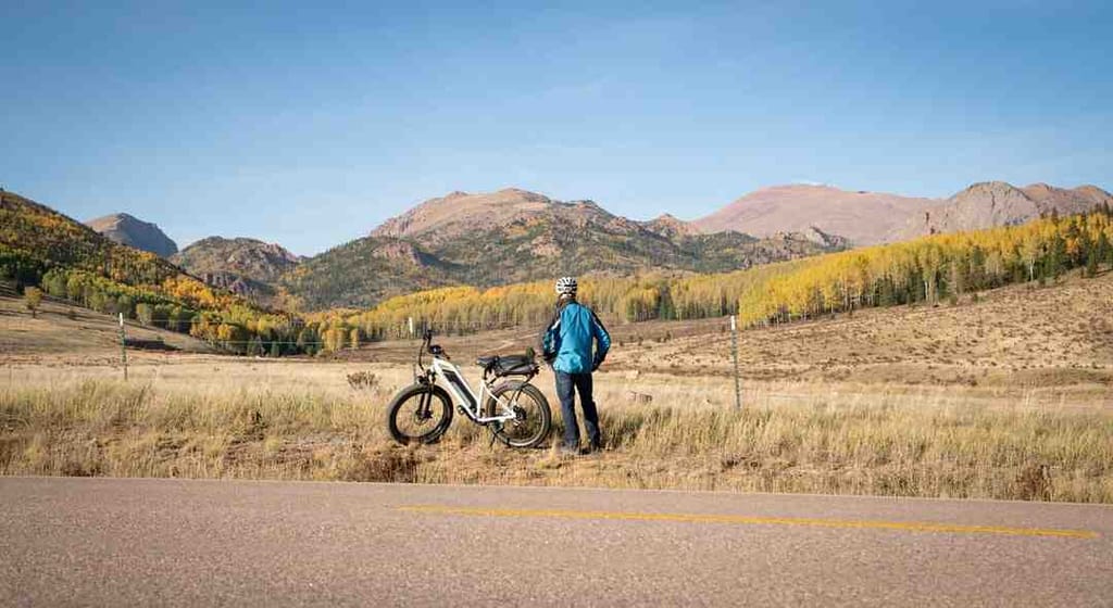 gitane titan 27.1 picture.jpeg