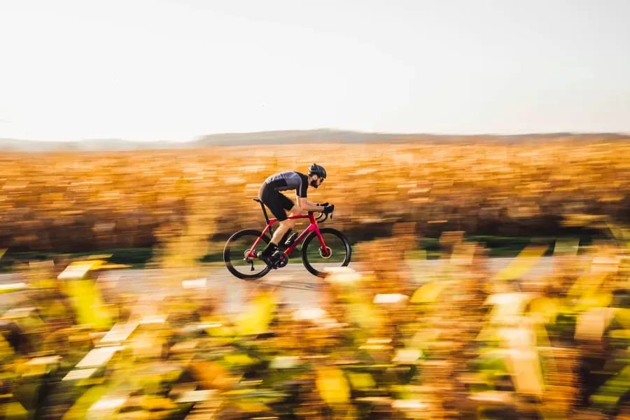 lapierre photo principale.webp