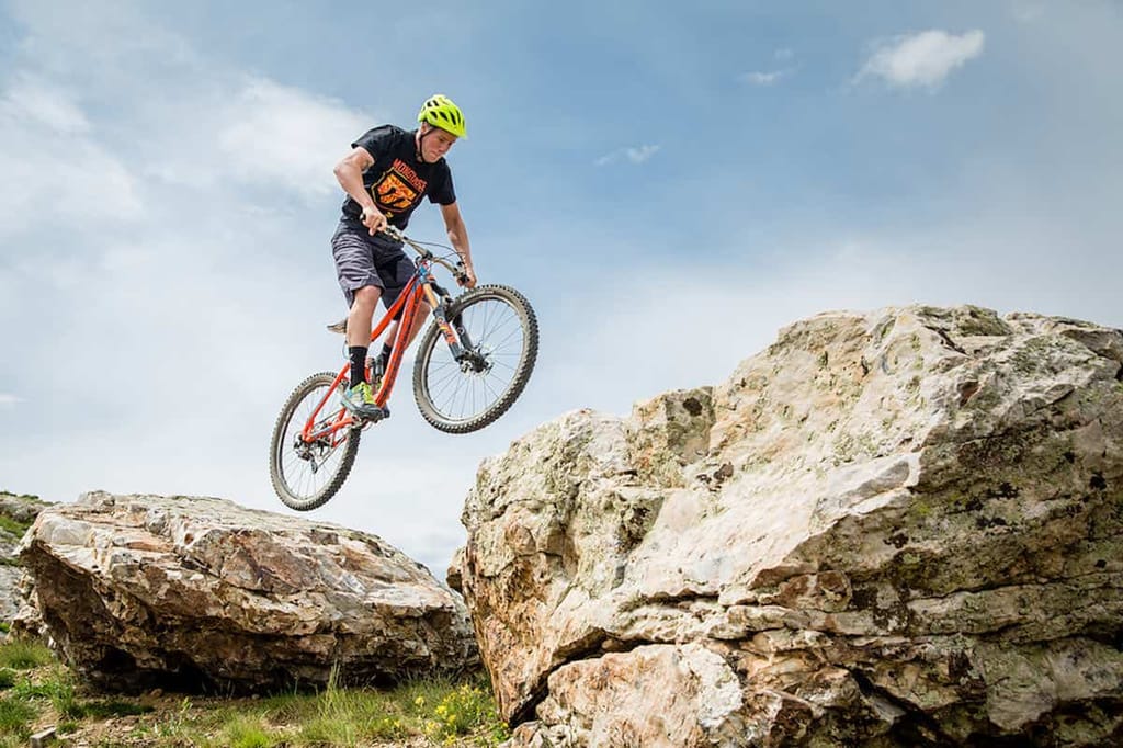 mongoose photo principale.jpeg