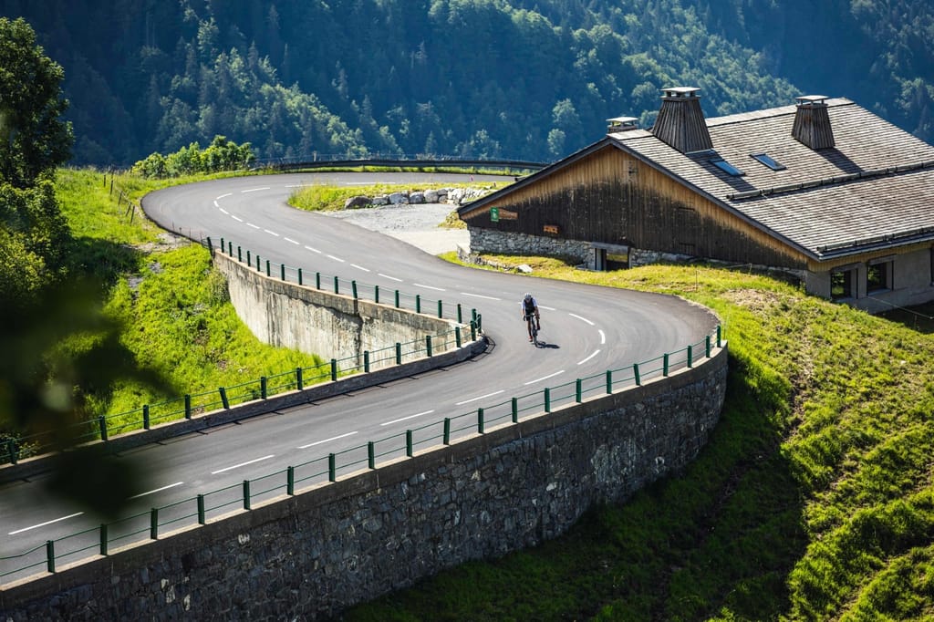 moustache dimanche 28 photo principale.jpeg