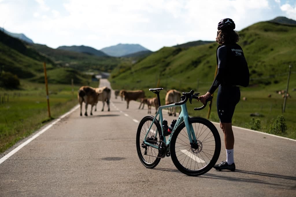 orbea bikes photo principale.jpeg