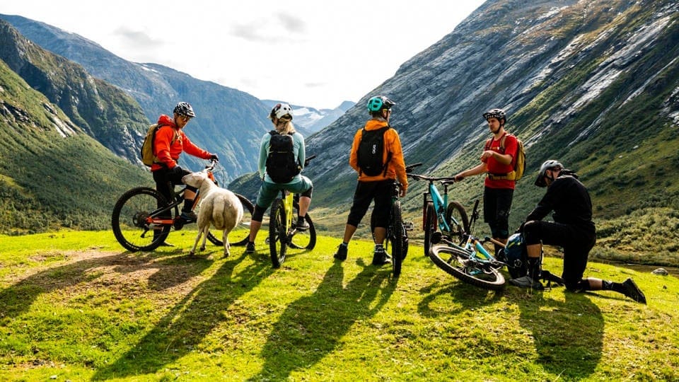 rocky mountain bikes photo principale.jpeg