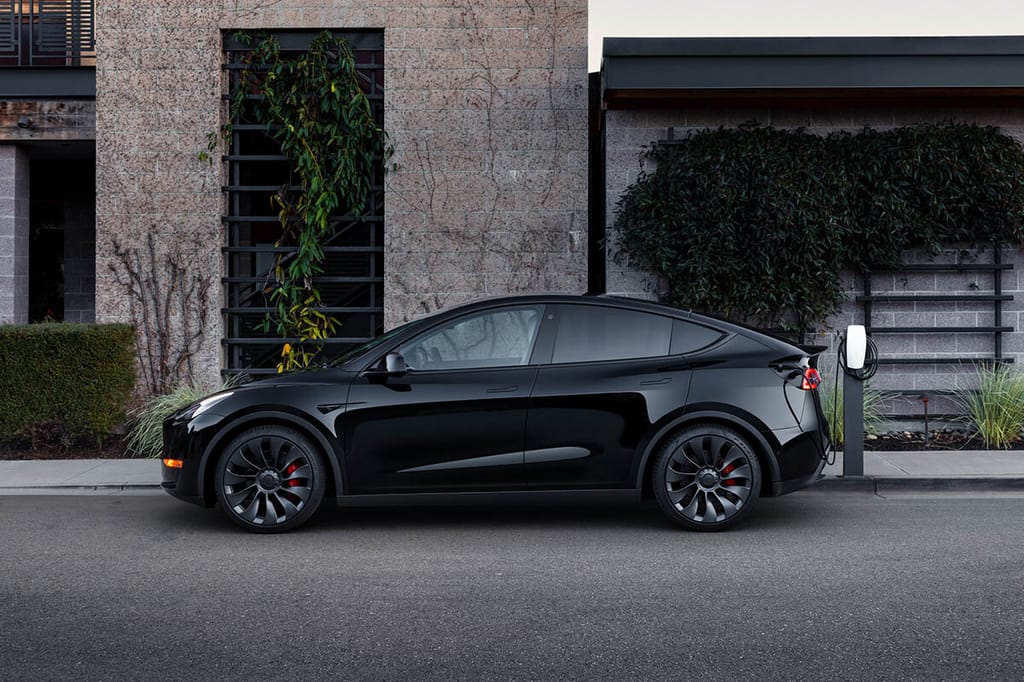 telsa model y 2021.jpeg