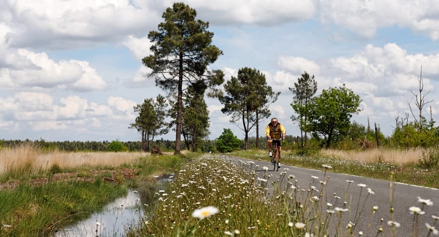 wayscral anyway e100 picture.jpeg