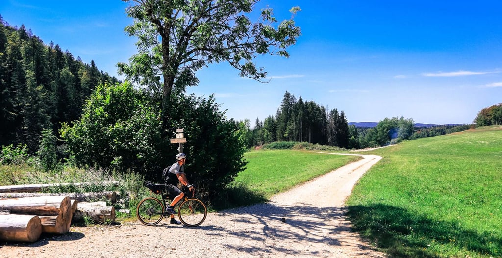 bergamont cyclotourisme e1639645066987