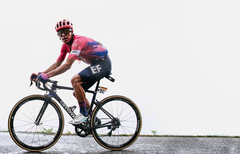 cannondale haute performance