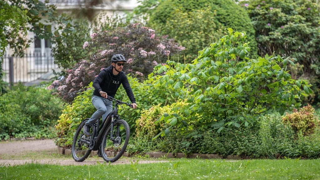 cube hybrid pro edited