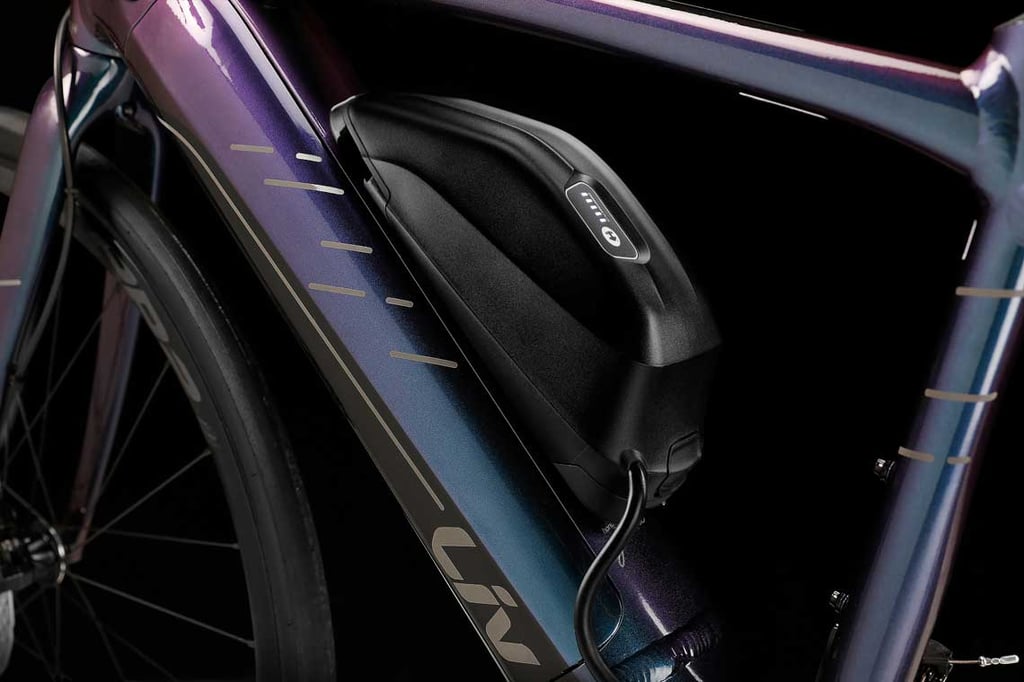 giant EnergyPak Smart