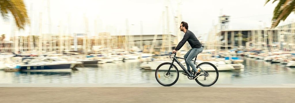 moma ebike