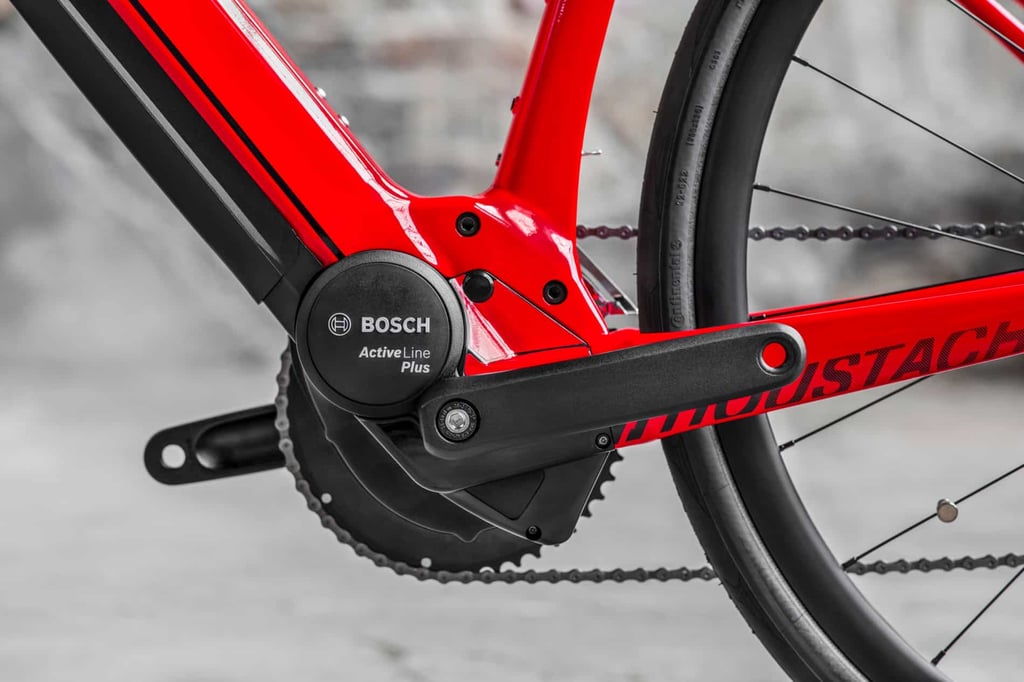 moustache dimanche 28 bosch