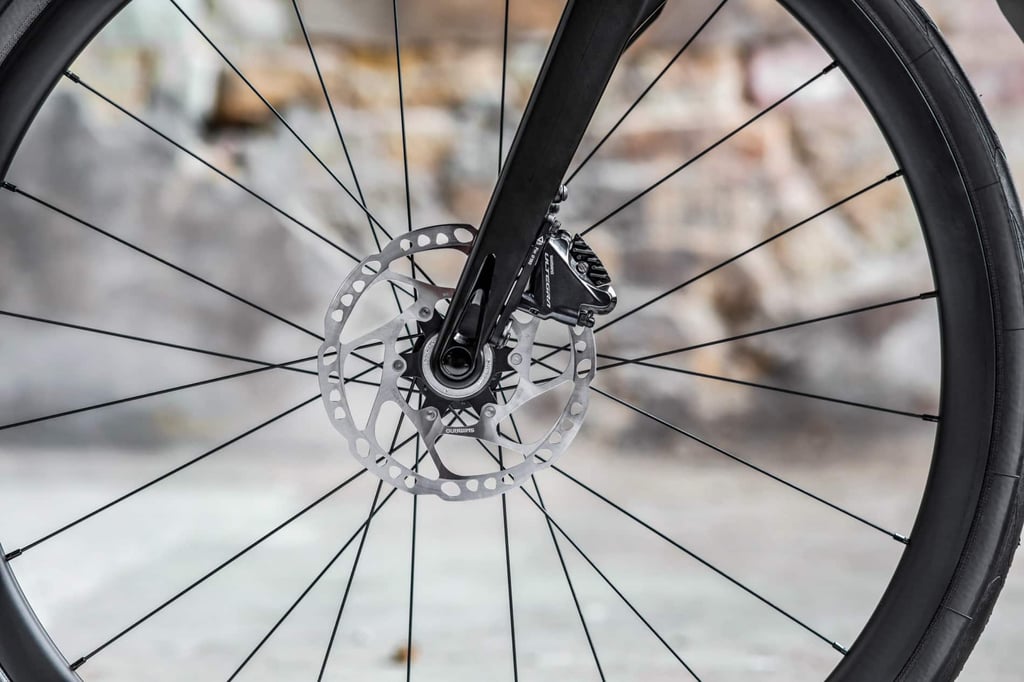 moustache dimanche 28 disques1