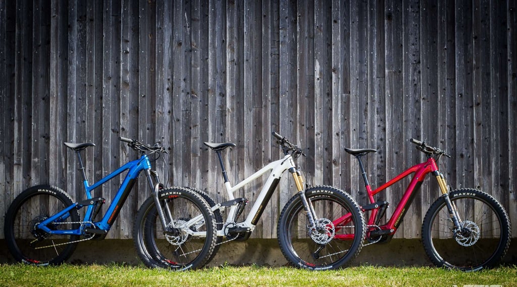 moustache french style scaled e1633353817589