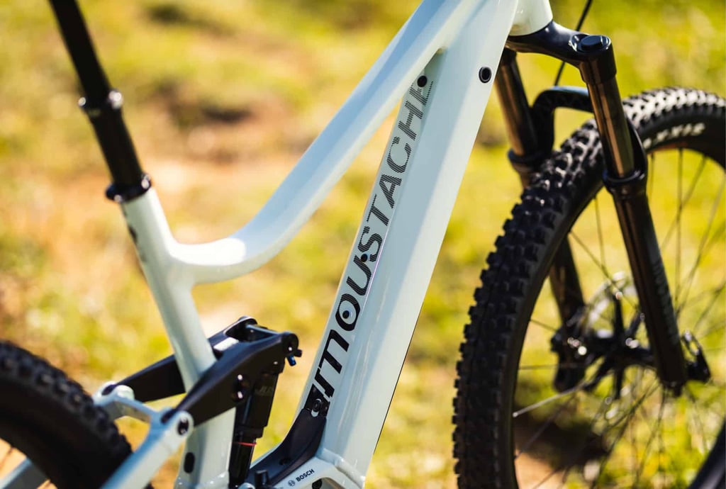 moustache samedi 27 3