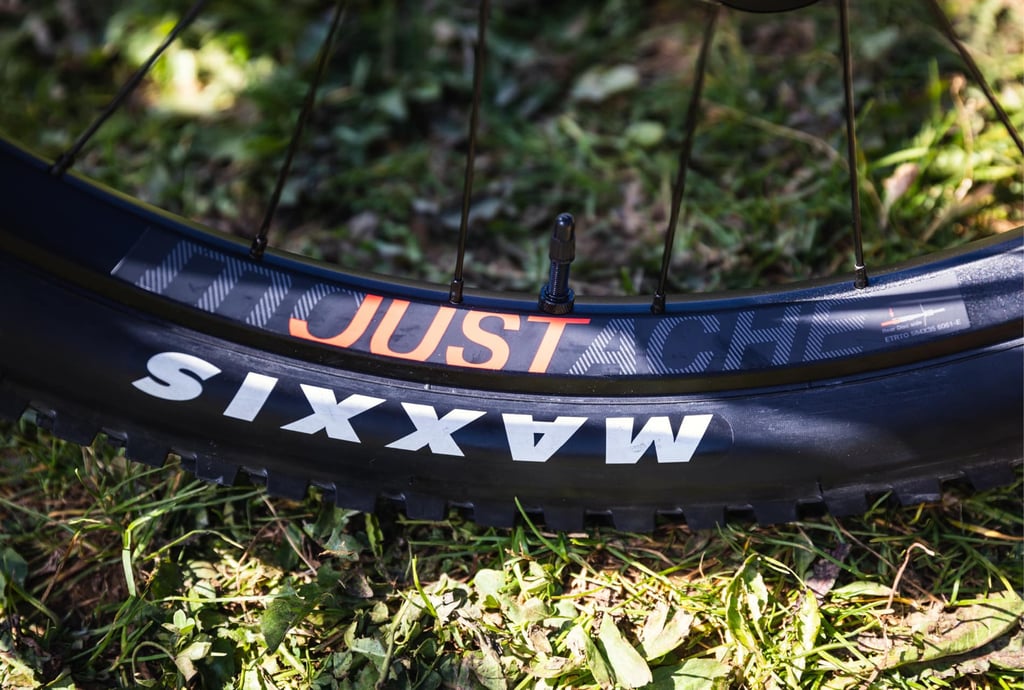 moustache samedi pneus