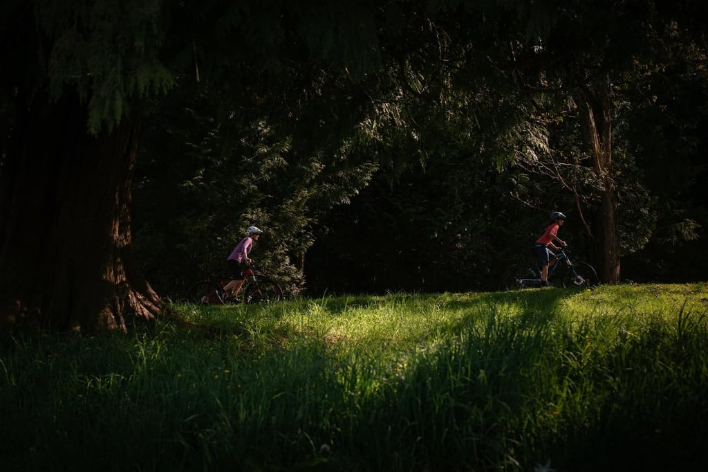 rocky mountain bikes adventure