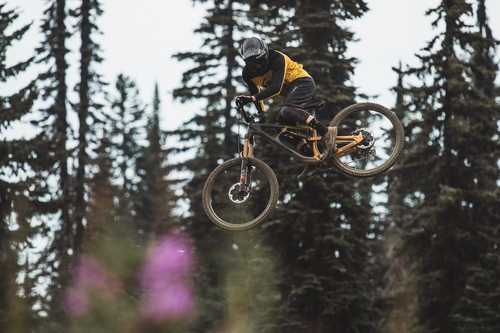 rocky mountain bikes freeride