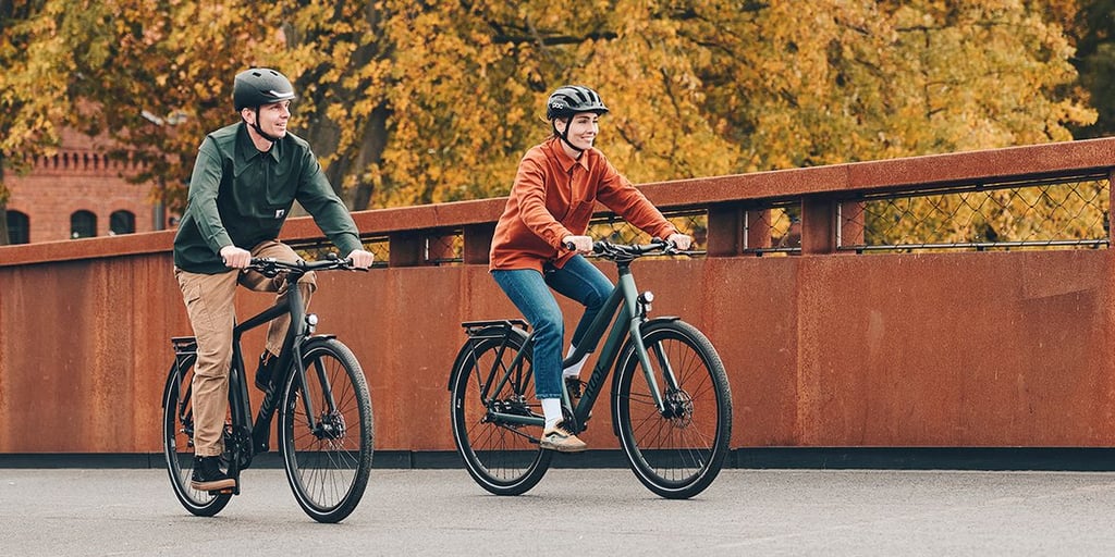 rose bikes cross country