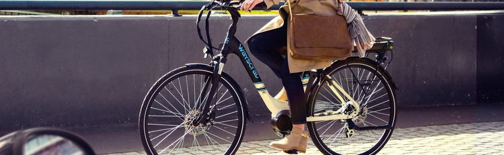 wayscral everyway e200 2