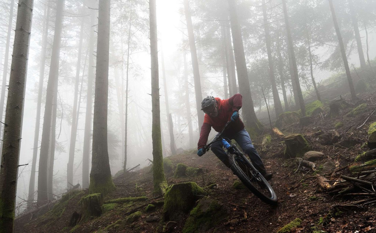 Canyon Neuron on 2 e1637654695735