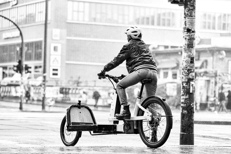 bergamont e cargoville