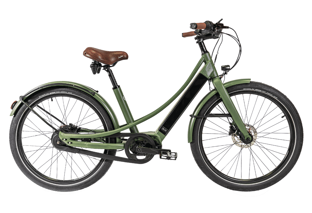 bike reine cadre bas