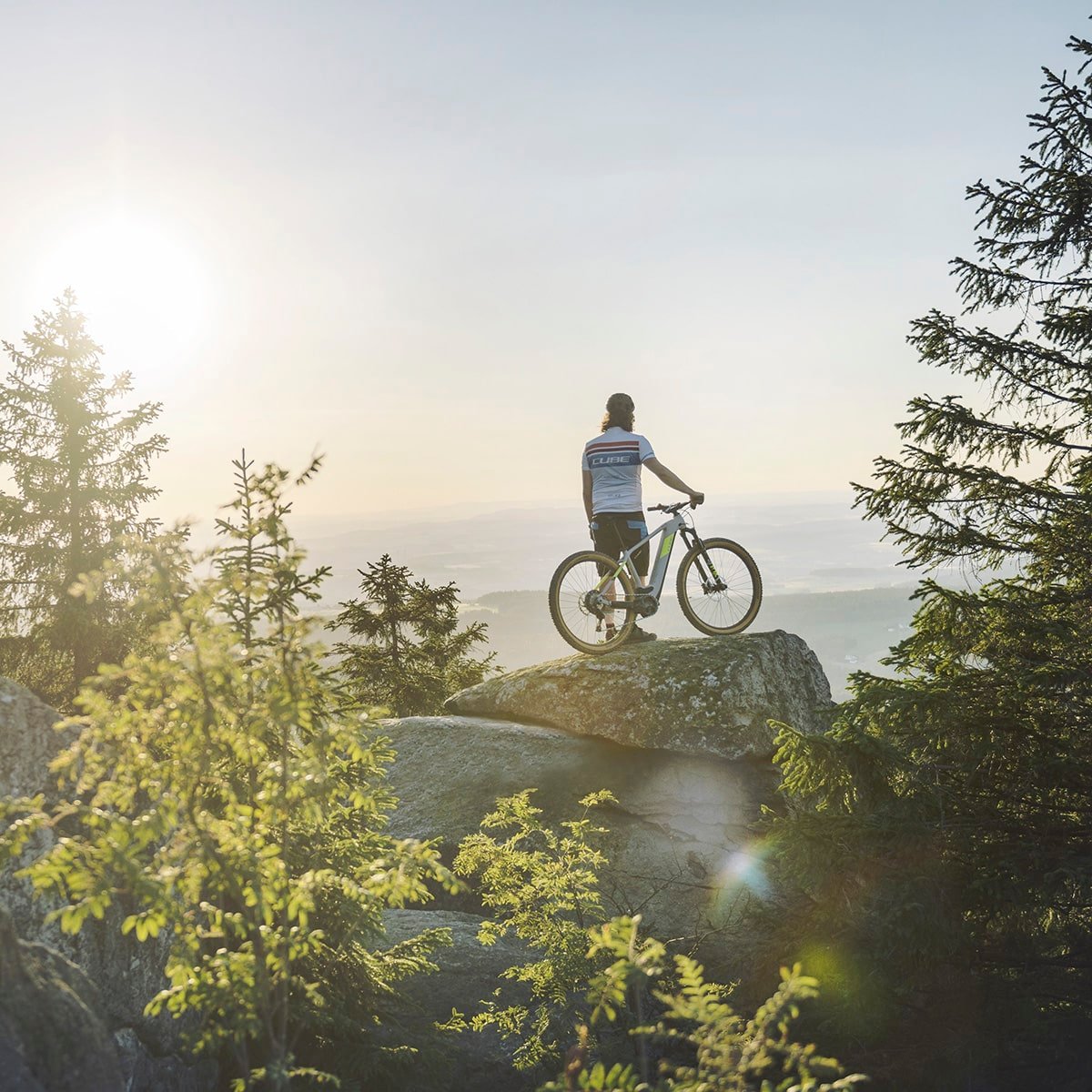 cube e bike mountain