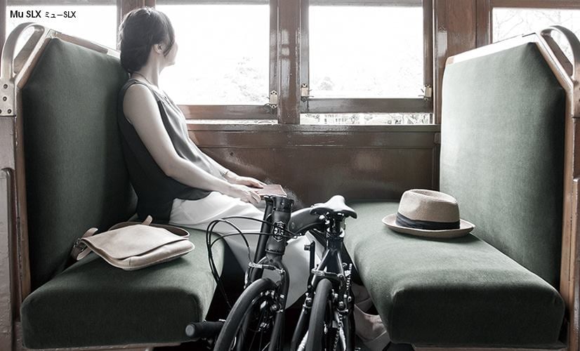 dahon folding bike10