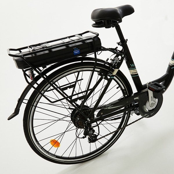 ebike wayscral1