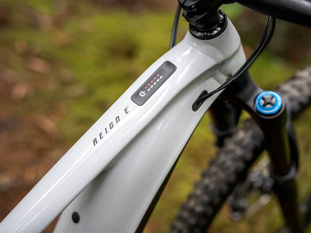 reign e campaign fiftyfifty02