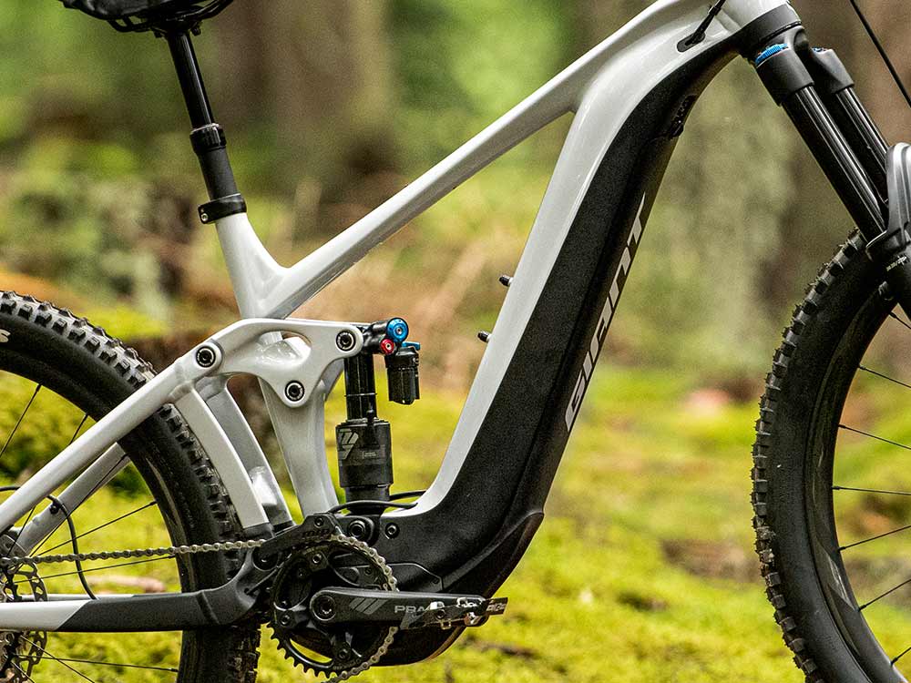 reign e campaign fiftyfifty04