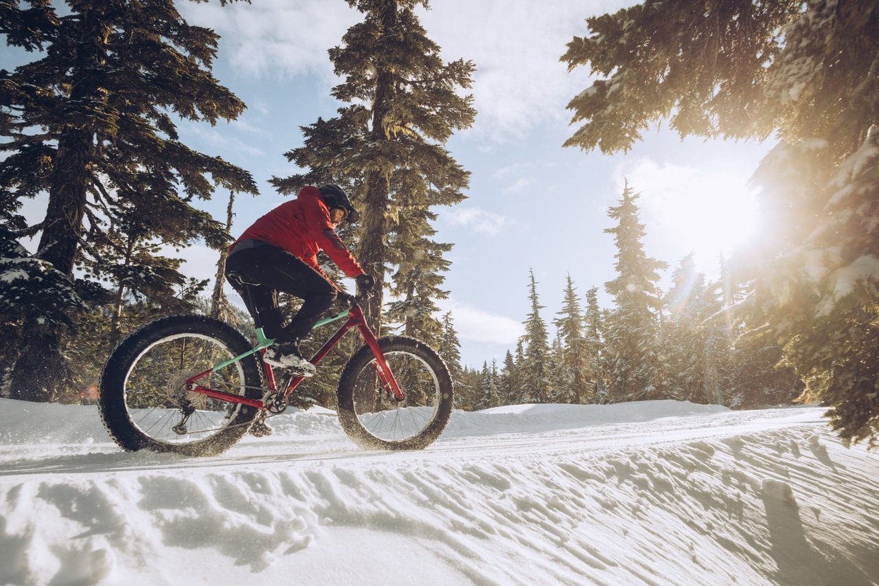 rocky mountain bikes fat bike