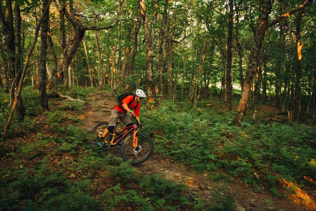 rocky mountain bikes instinct