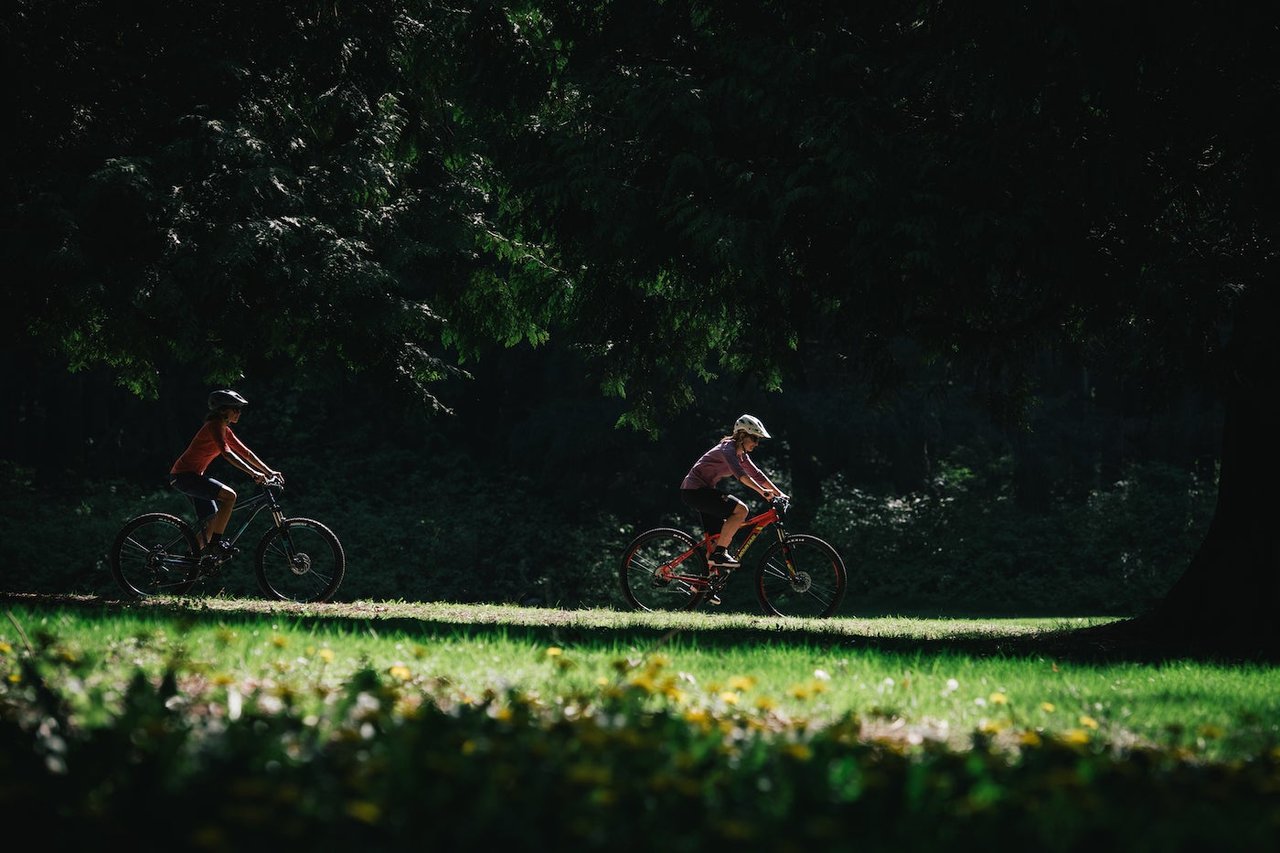 rocky mountain bikes soul