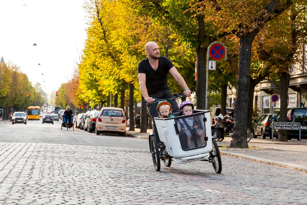 triporteur pendulaire butcher