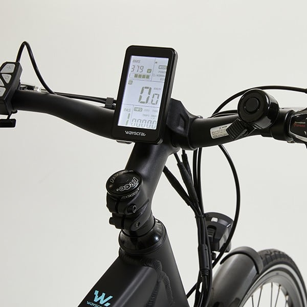 wayscral anyway e100 LCD 1