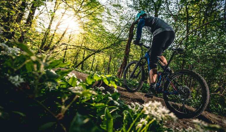 Decathlon Stilus vtt e1637752847697.jpeg