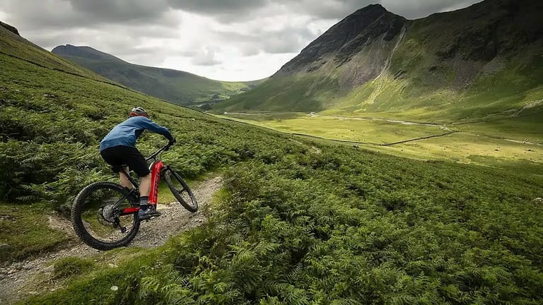 Powerfly FS Family 01.webp