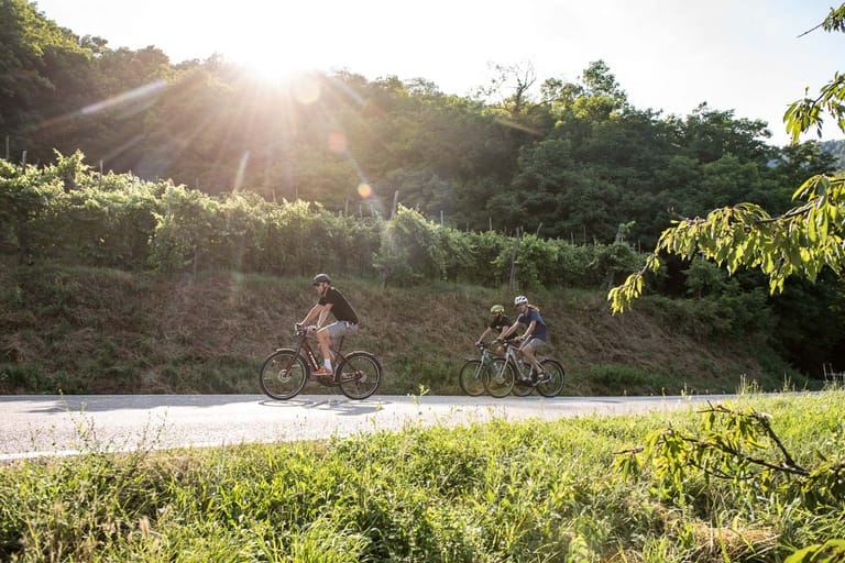 Trek Allant e bike.jpeg