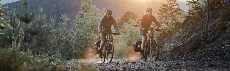 giant dailytour3.jpeg