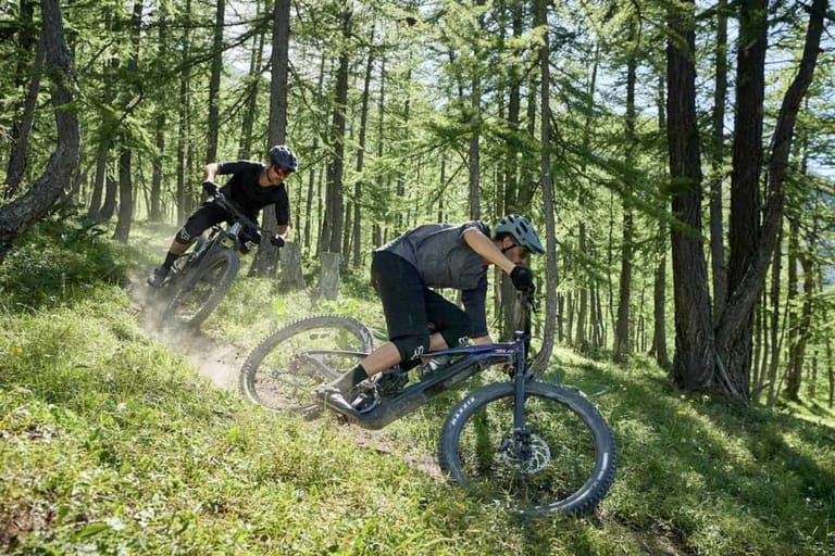 giant e bike talon e.jpeg