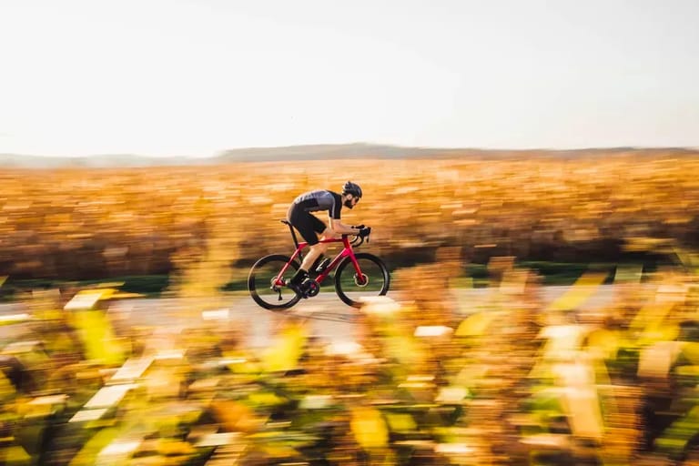 lapierre photo principale.webp