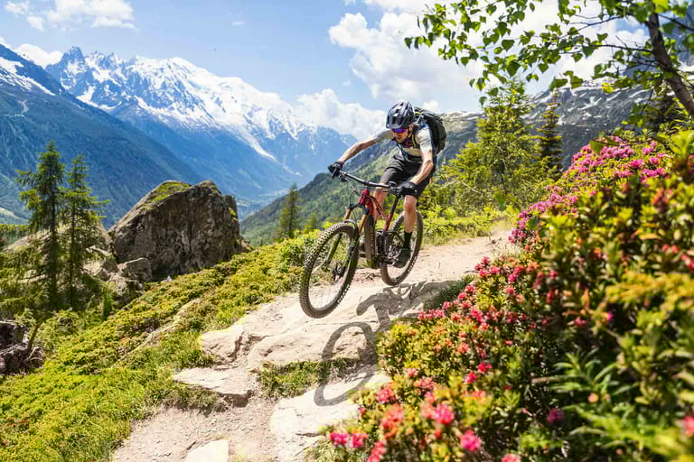 moustache photo principale.jpeg