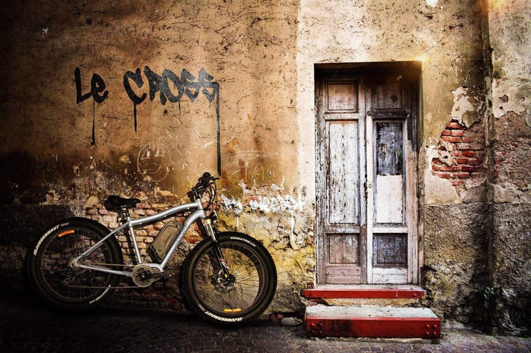 weebike le cross 7.jpeg