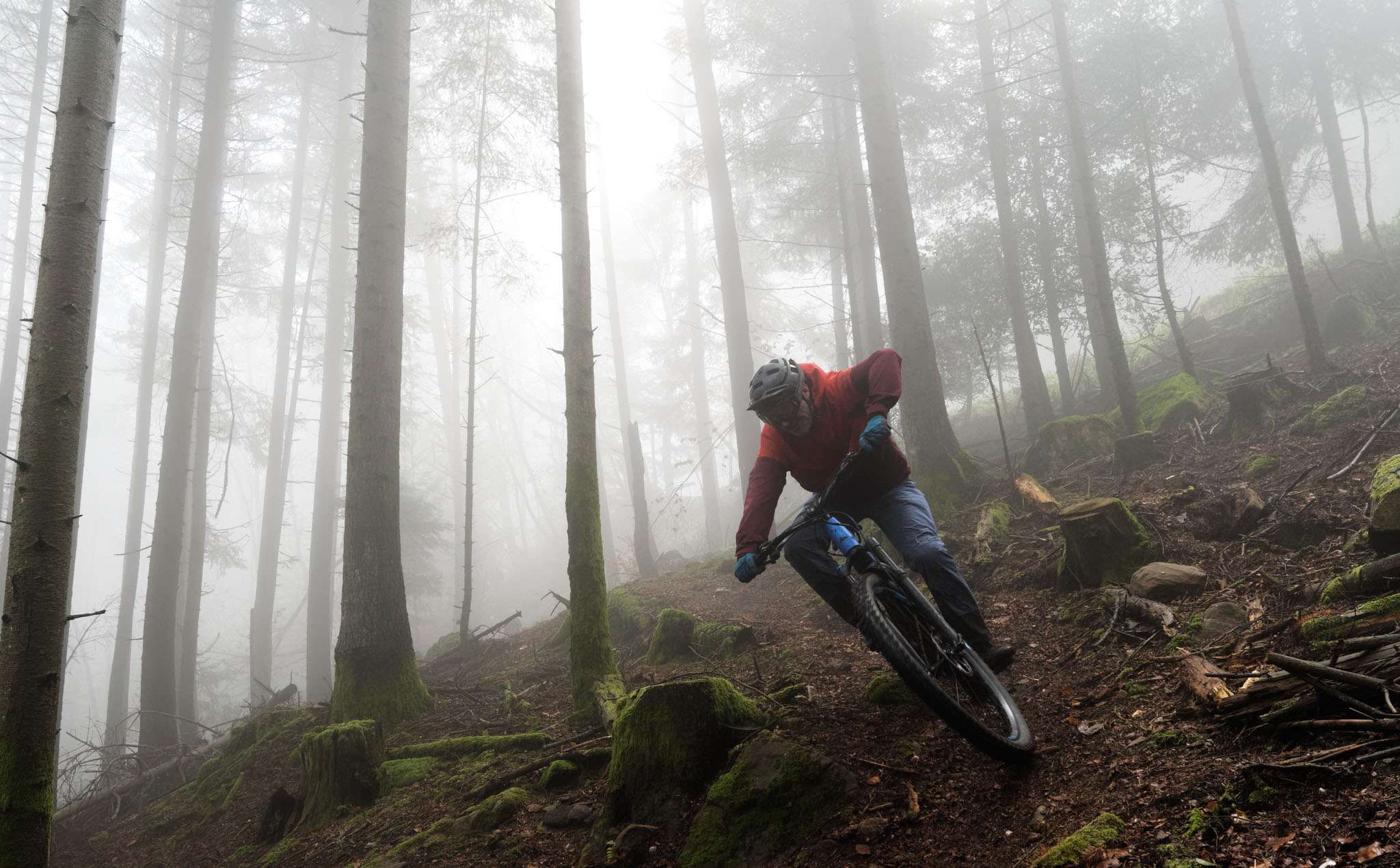 Canyon Neuron on 2 e1637654695735