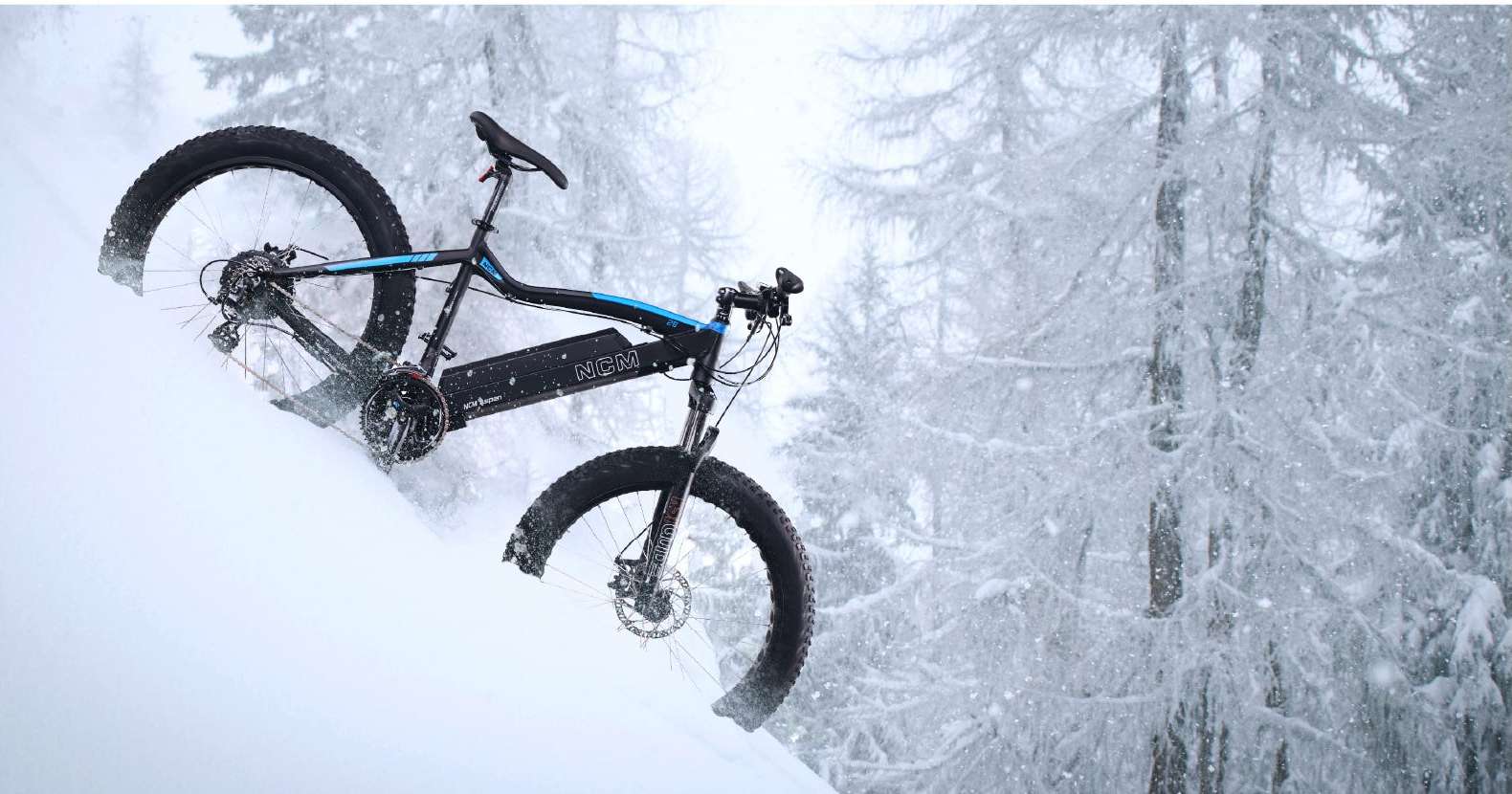 NCM aspen1 e1633592984769