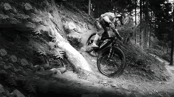 bergamont e performance3