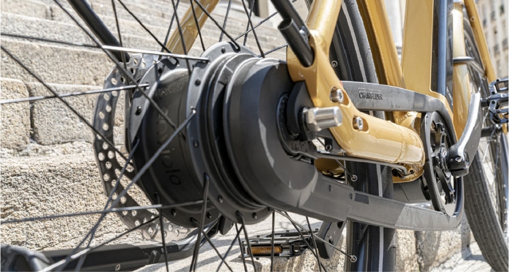 bike reine derailleur