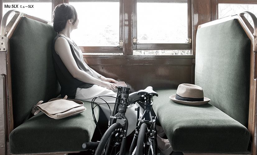 dahon folding bike10