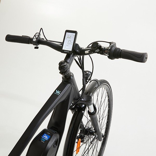 ebike wayscral