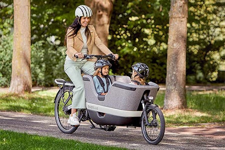 gazelle e bike familly